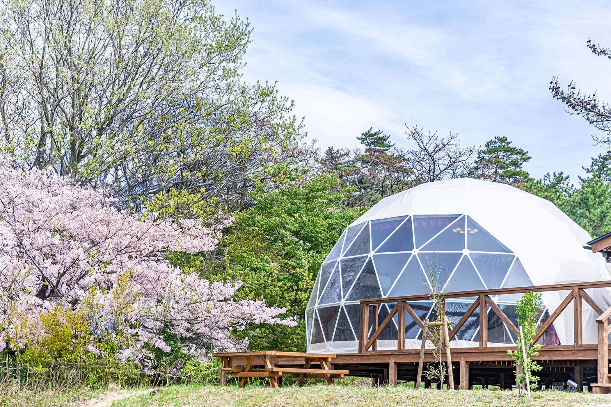 グランドーム砂優トップスライダー