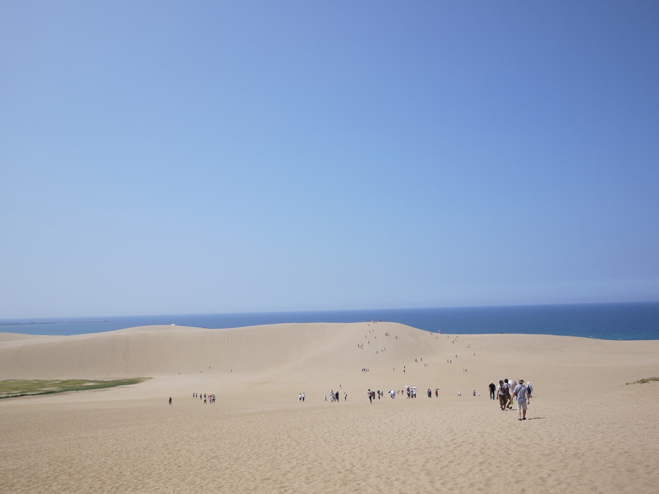 日本代表する砂のアート「鳥取砂丘」